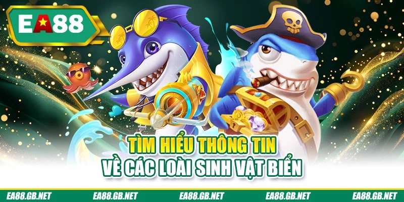 Tìm hiểu thông tin về các loài sinh vật biển