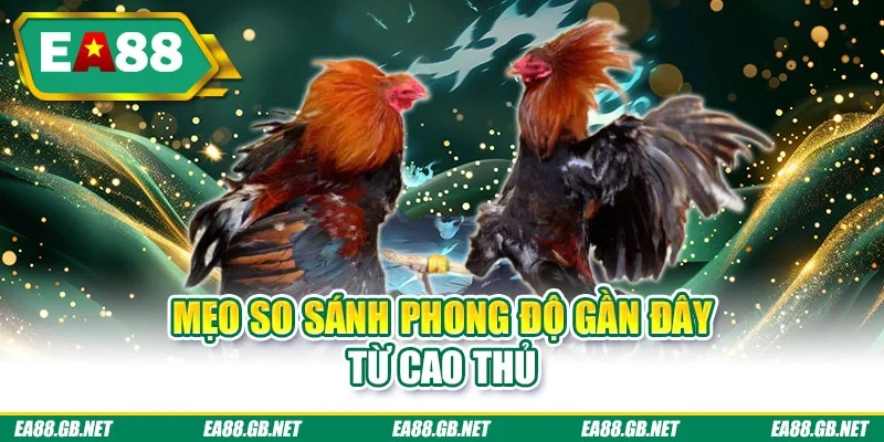 Mẹo so sánh phong độ gần đây từ cao thủ