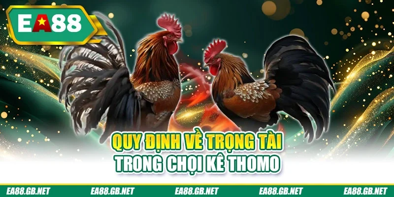 Quy định về trọng tài trong chọi kê thomo