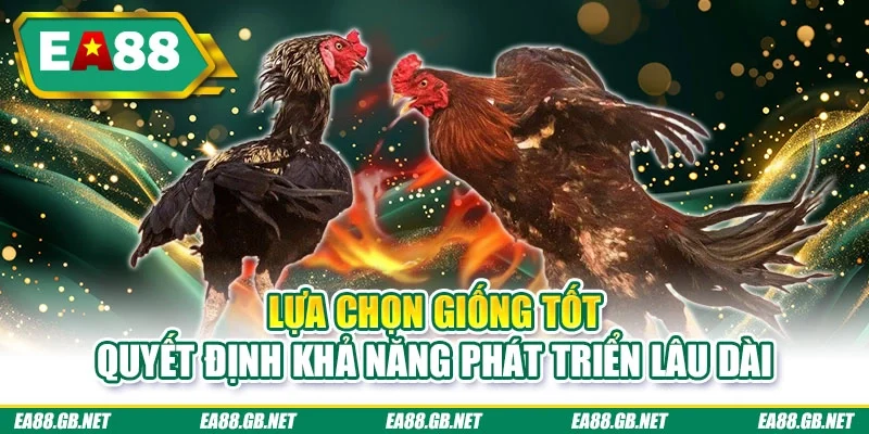 Lựa chọn giống tốt quyết định khả năng phát triển lâu dài