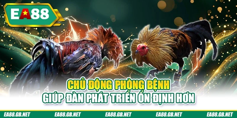 Chủ động phòng bệnh giúp đàn phát triển ổn định hơn