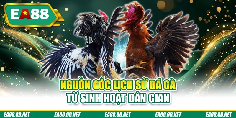 Nguồn gốc lịch sử đá gà tư sinh hoạt dân gian