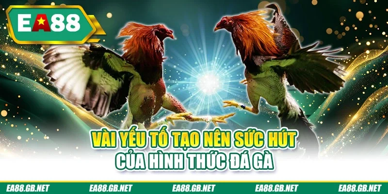 Vài yếu tố tạo nên sức hút của hình thức đá gà