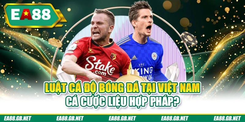 Luật cá độ bóng đá tại Việt Nam